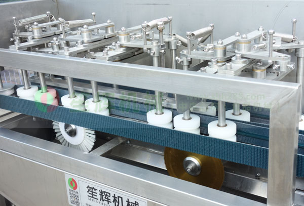 全動(dòng)自殺魚(yú)機(jī)