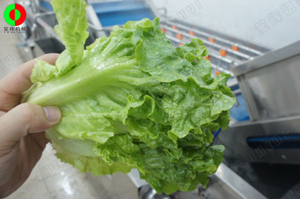 蔬果無損清洗機