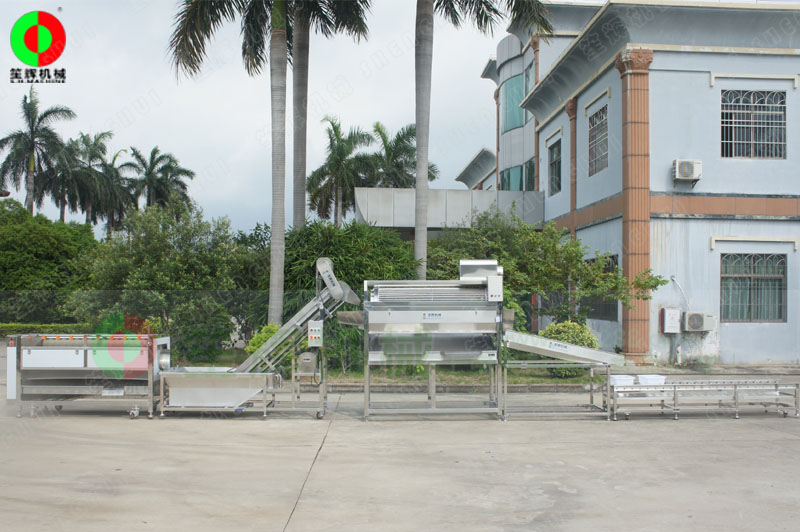 鯪魚加工生產(chǎn)線