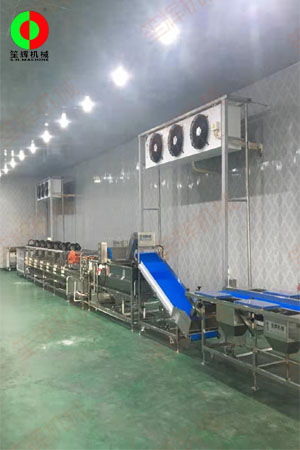 佛山客戶(hù)蔬果加工處理生產(chǎn)線(xiàn)現(xiàn)場(chǎng)安裝完成