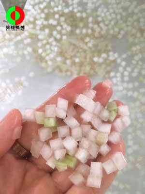 客戶自帶物料現(xiàn)場測試冬瓜處理生產(chǎn)線相關設備