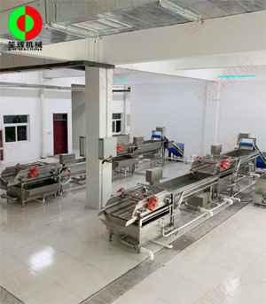 客戶現(xiàn)場兩條蔬菜清洗加工生產(chǎn)線順利安裝調(diào)試完成！