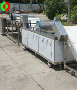 國外客戶訂制的藍(lán)莓自動(dòng)清洗分選生產(chǎn)線順利生產(chǎn)完成測試中！