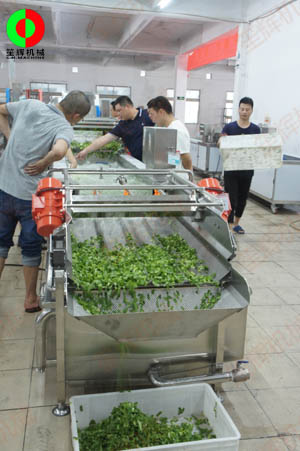 客戶親臨我司實(shí)地考察工廠及蔬果切割清洗生產(chǎn)線設(shè)備！