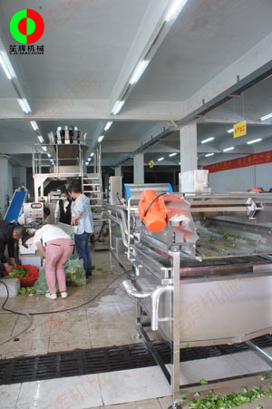 客戶(hù)自帶大批物料到我司測(cè)試蔬果處理設(shè)備后簽訂定購(gòu)合同！