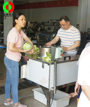 蔬果分瓣機(jī)現(xiàn)場(chǎng)測(cè)試，客戶滿意切割效果！