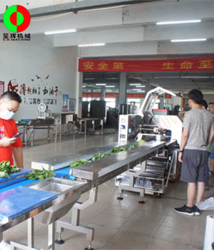 枕式蔬果包裝生產(chǎn)線,客戶(hù)現(xiàn)場(chǎng)測(cè)試驗(yàn)收！