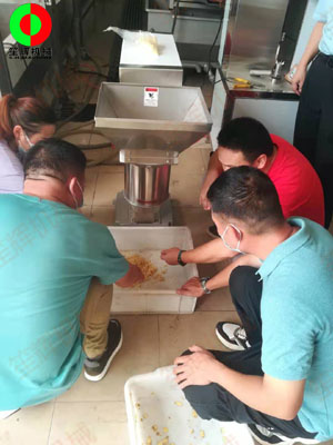 江門客戶謝先生親臨我司測試生姜清洗脫皮及打碎設(shè)備！