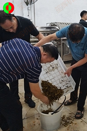 客戶(hù)來(lái)廠(chǎng)測(cè)試驗(yàn)貨果蔬清洗加工設(shè)備！