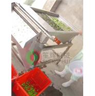 豆類(lèi)脫殼機(jī)/毛豆脫殼機(jī)/豌豆毛豆脫殼機(jī)TK-800 豆類(lèi)脫殼機(jī)/毛豆脫殼機(jī)/豌豆毛豆脫殼機(jī)TK-800