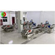 渦流式洗菜生產(chǎn)線(視頻)