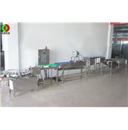 打蛋生產(chǎn)線/清洗、風(fēng)干、光檢、24頭打蛋生產(chǎn)線(視頻)