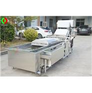 全網(wǎng)鏈氣泡洗菜機(jī)/氣泡洗菜機(jī)/ 網(wǎng)鏈輸送洗菜機(jī) Q-42B 全網(wǎng)鏈氣泡洗菜機(jī)/氣泡洗菜機(jī)/ 網(wǎng)鏈輸送洗菜機(jī) Q-42B